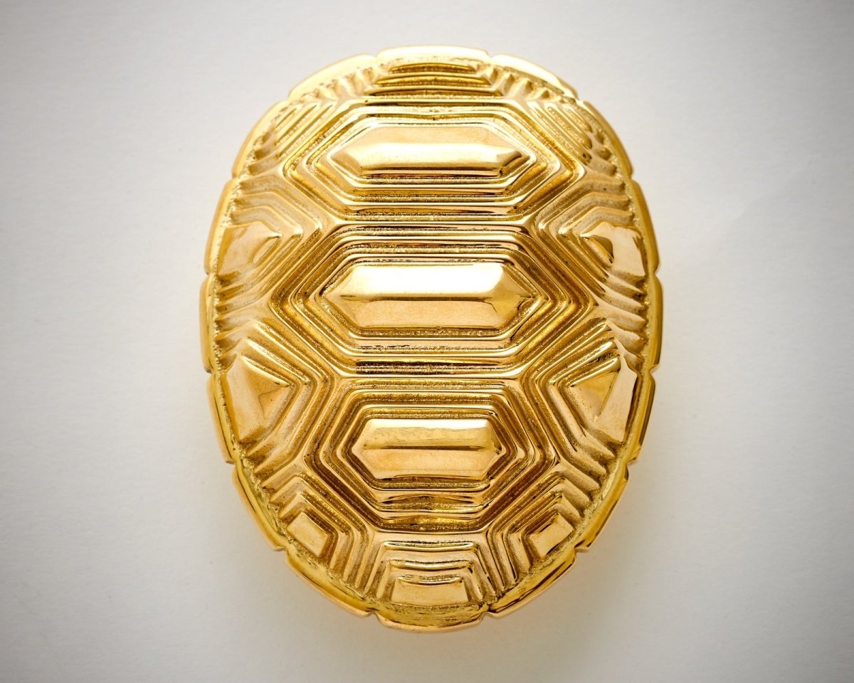 Tortoise - 01 By Nest Studio - Entry - Point - TS - PBNL - Nest Studio