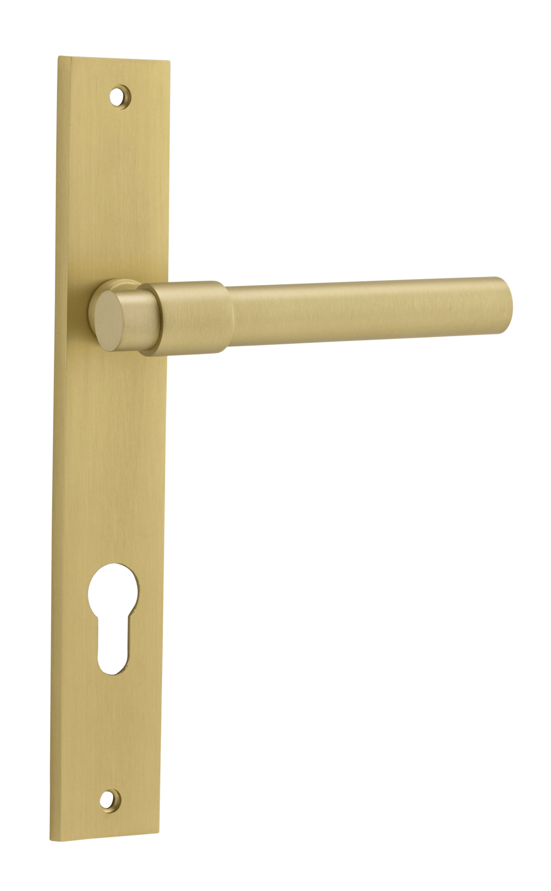 Helsinki Lever - Rectangular Backplate - Entry Point - Iver - Brushed Gold PVD - Door Levers