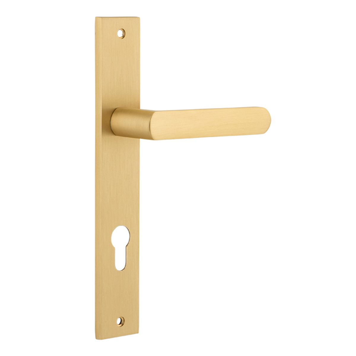 Osaka Lever - Rectangular Backplate